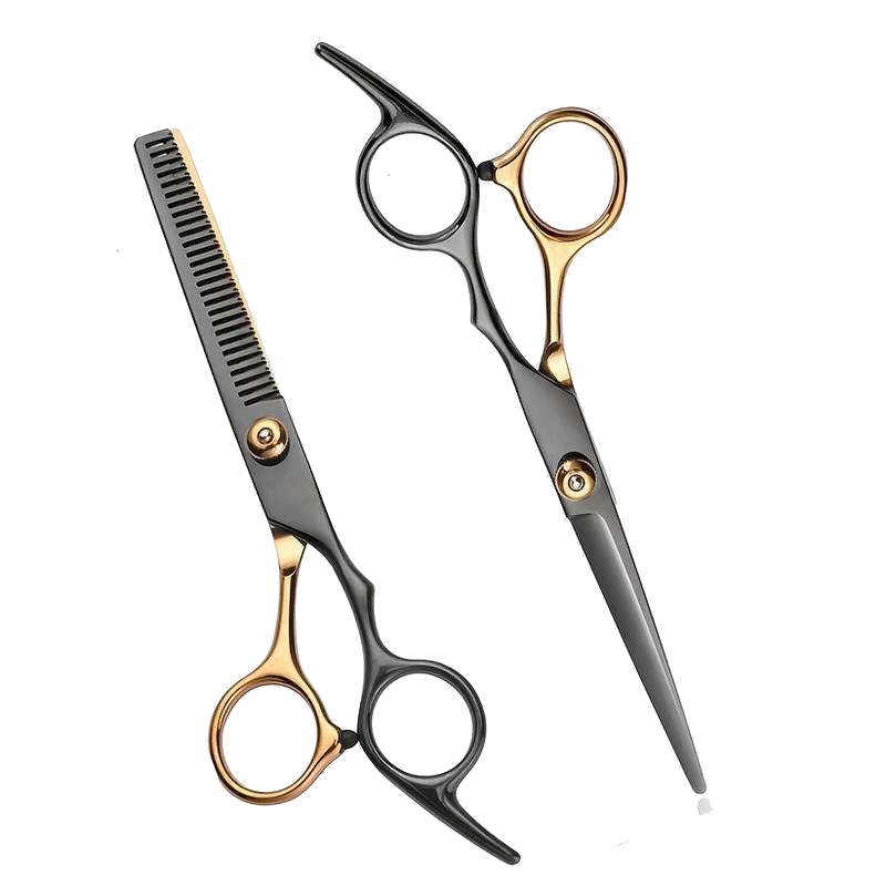 Professional Barber Shears Hair Scissors